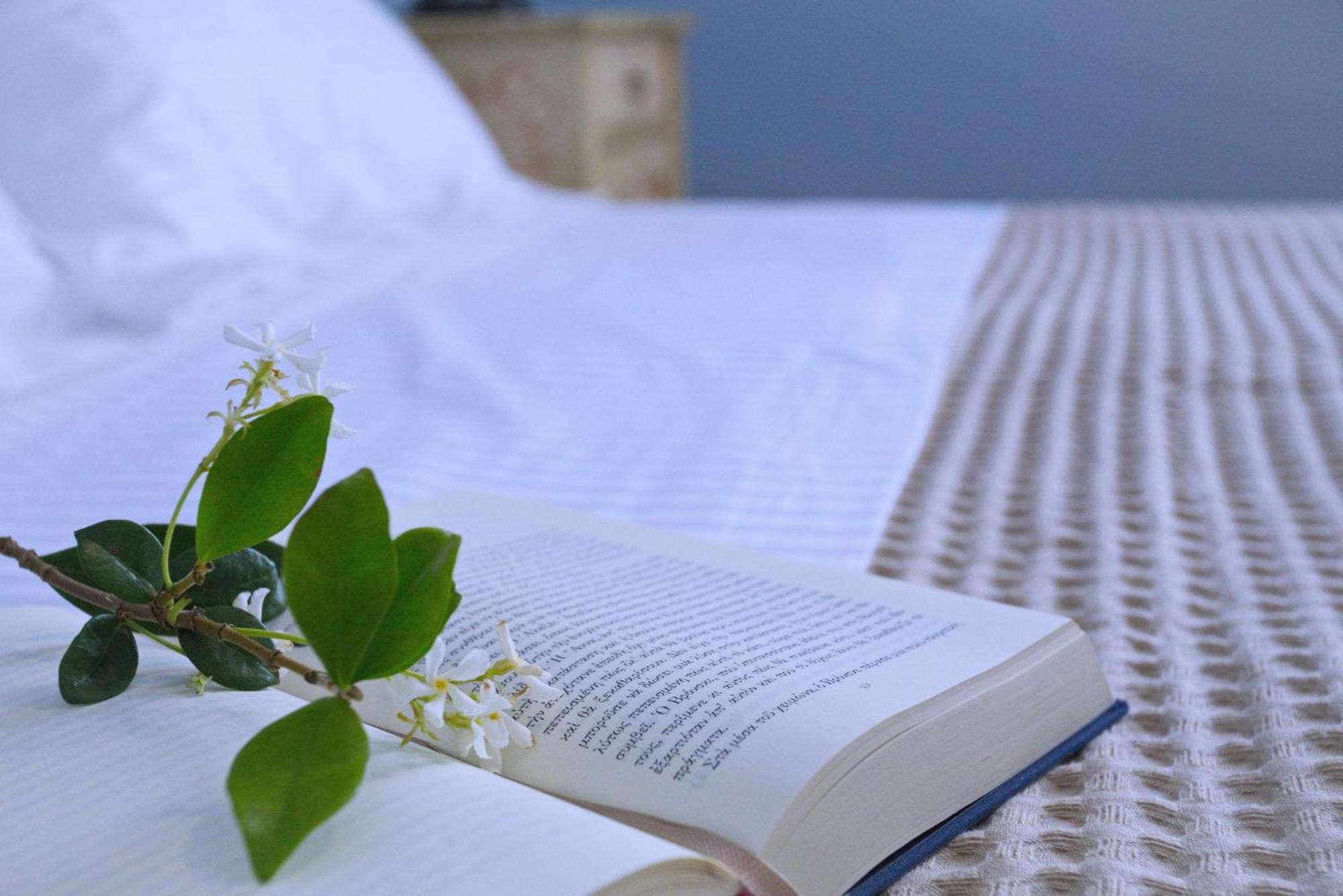 Amaryllis House Lefkada Villa Ngoại thất bức ảnh